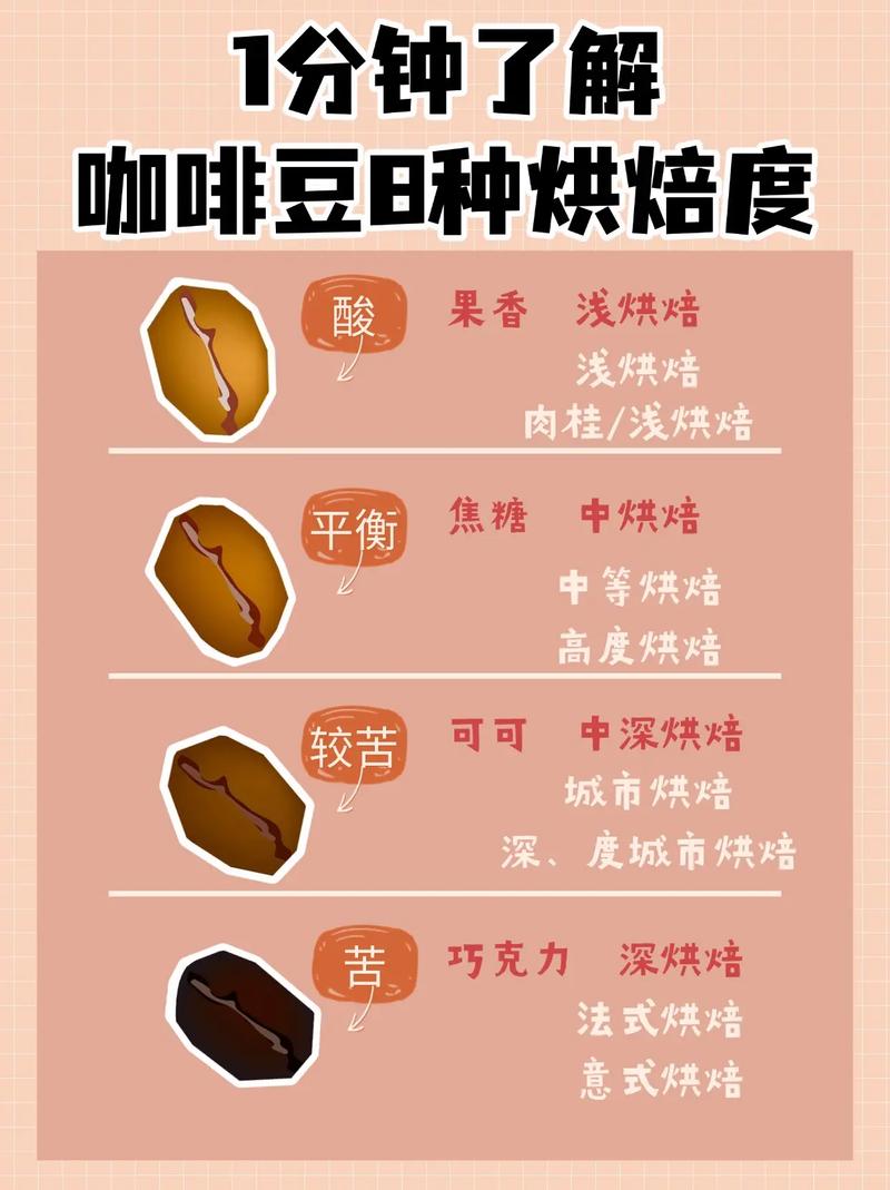 双生视界:深度解析顾客咖啡口味偏好全览